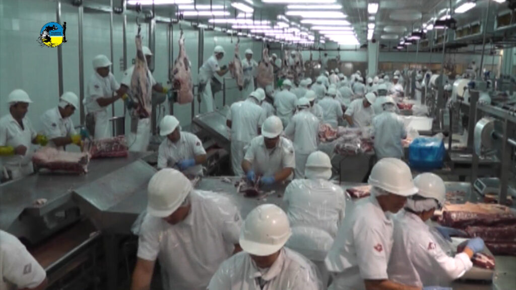 imagen de faena semanal bovina fue de 41.962 cabezas