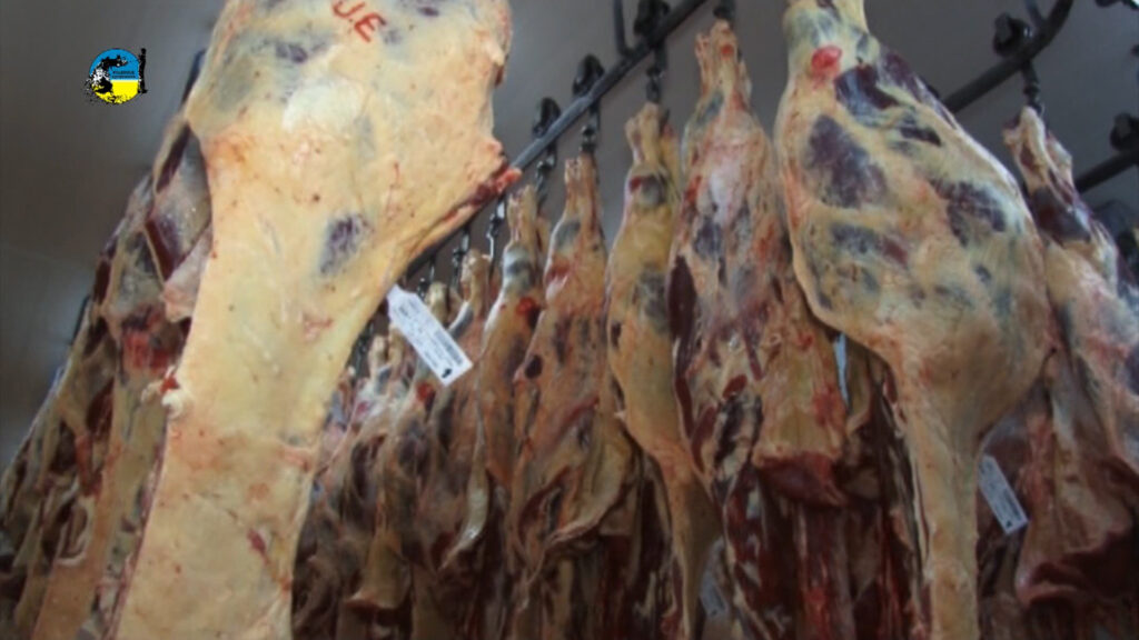 imagen de carne vacuna, La faena semanal bovina fue de 39.737 cabezas