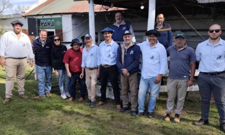 Local Zapará: Un mercado a alto nivel