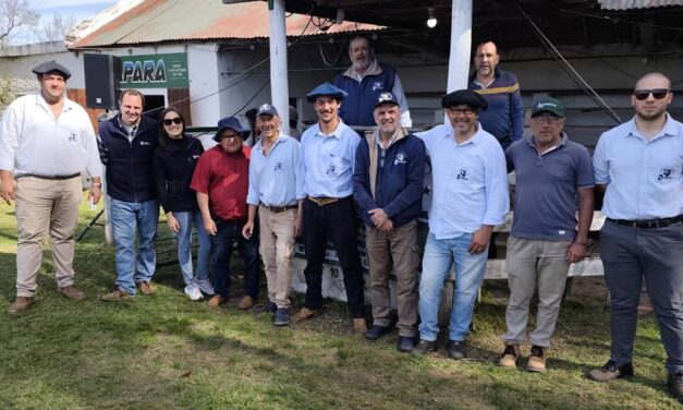 Local Zapará: Un mercado a alto nivel