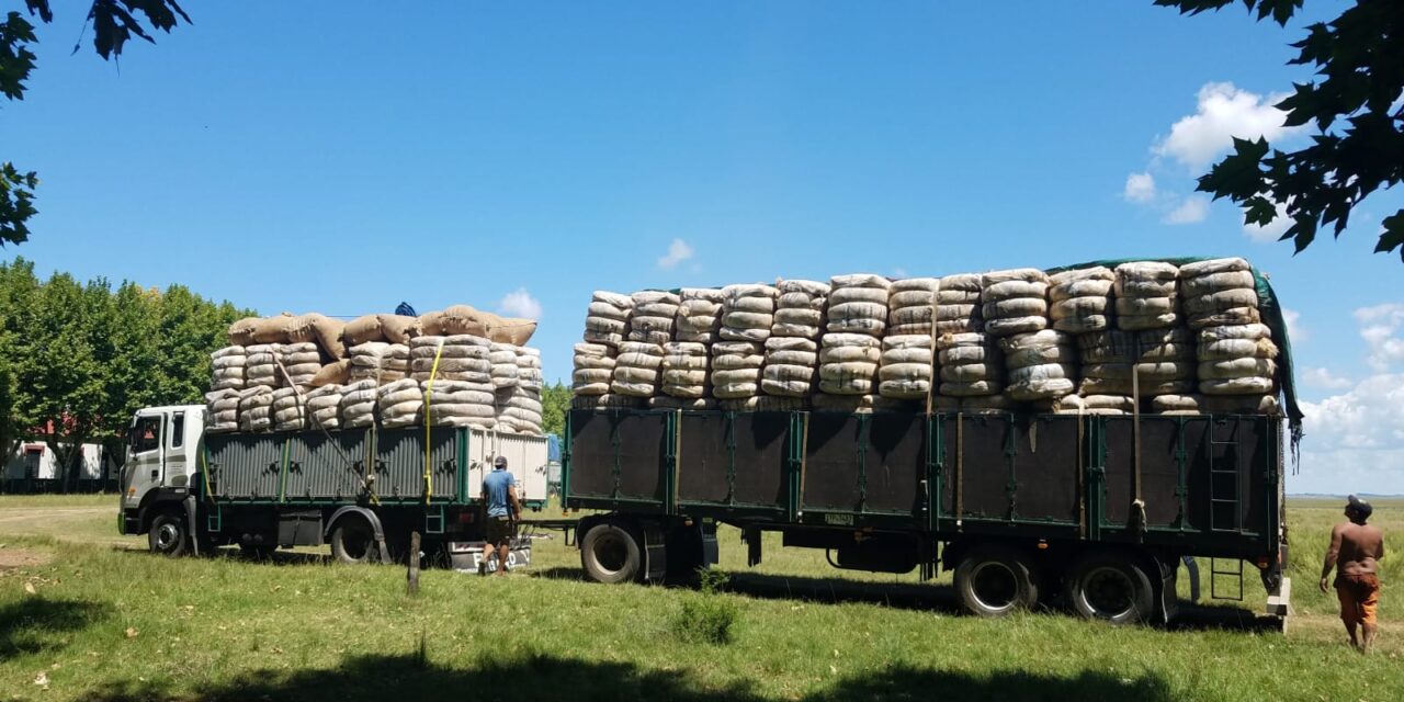 Se vendieron 135.500 kilos de lana en el mercado local