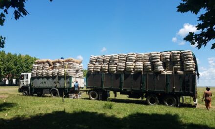 Se vendieron 135.500 kilos de lana en el mercado local
