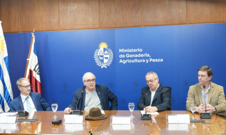Programa PROCRÍA: se presentaron 1.681 productores