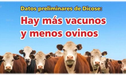 Palenque Rural: hay más vacunos y menos ovinos