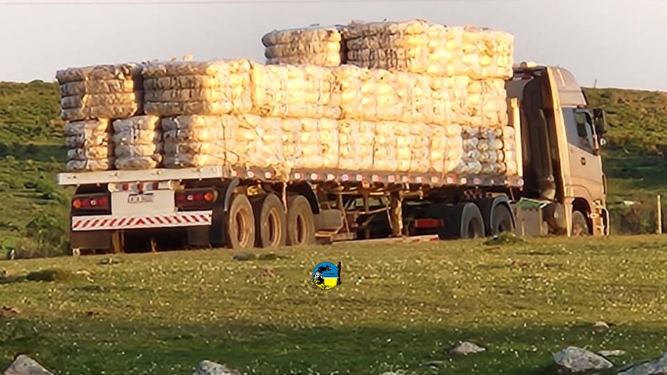 Se vendieron 151.800 kilos de lana