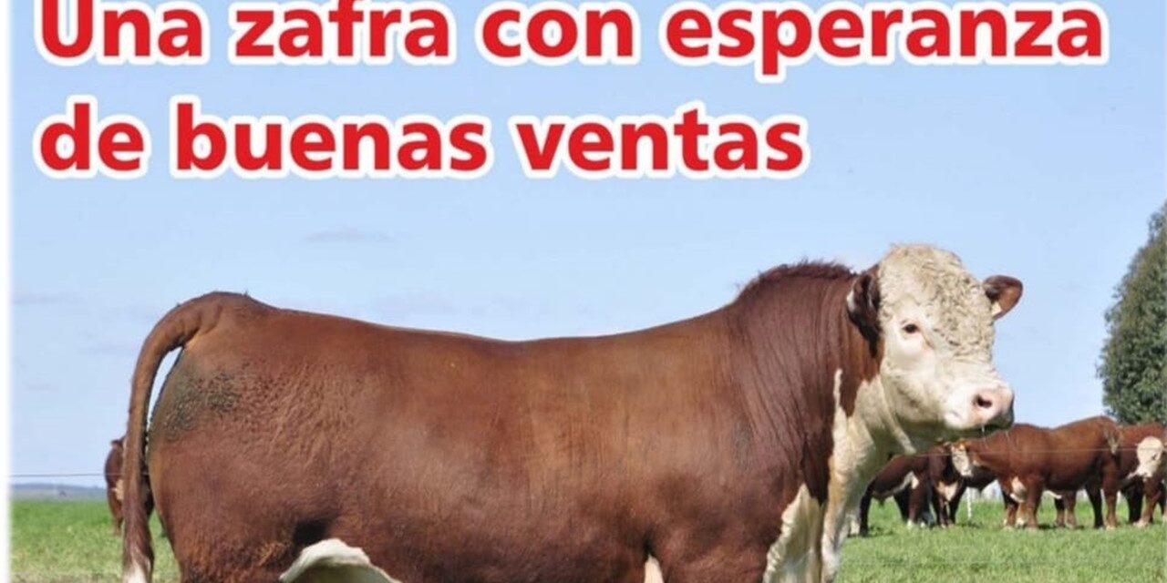 Palenque Rural: una zafra con esperanza de buenas ventas