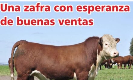 Palenque Rural: una zafra con esperanza de buenas ventas