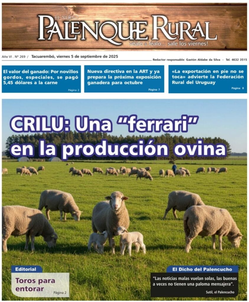 tapa de el palenque rural, ovejas con corderos del CRILU: una "ferrari" en la producción ovina.