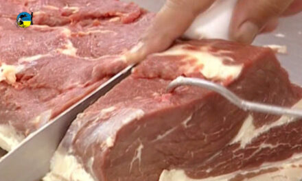China marca nuevo récord en importaciones de carne vacuna