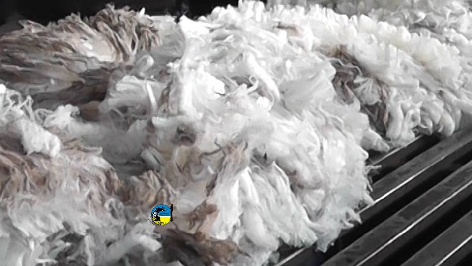 imagen de lana, Esta semana se colocaron 116.830 kilos de lana en el mercado local
