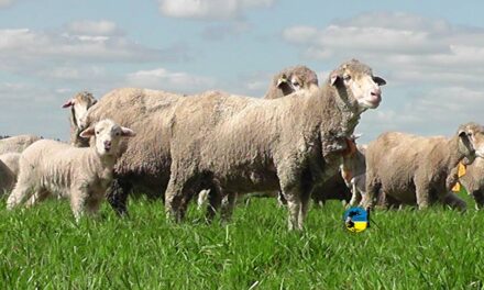 Federación Rural: fideicomiso garrapata y bichera