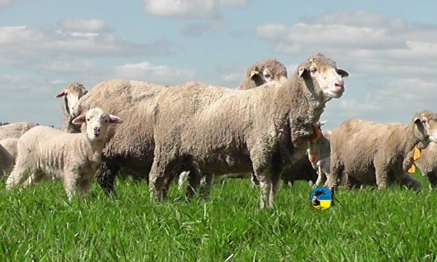 Federación Rural: fideicomiso garrapata y bichera