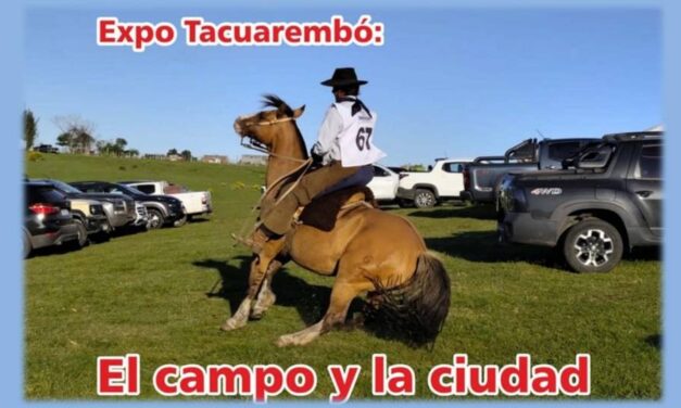 Palenque Rural: el campo y la ciudad