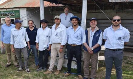 Zapará: Ventas totales con un promedio de U$S 644