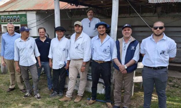 Zapará: Ventas totales con un promedio de U$S 644
