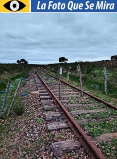 IMAGEN DE LA FOTO QUE SE MIRA, Tramo de la vía férrea, con portera de alambre electrificada. Como no pasa el tren… Todo cambia (Cercanías de Tambores).