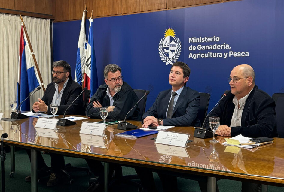 MGAP anunció cinco medidas tras detección de residuos en carne bovina