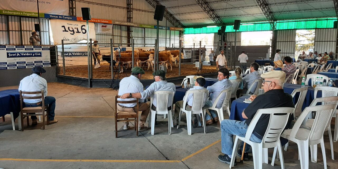 La Reserva y feria mensual en Don Tito