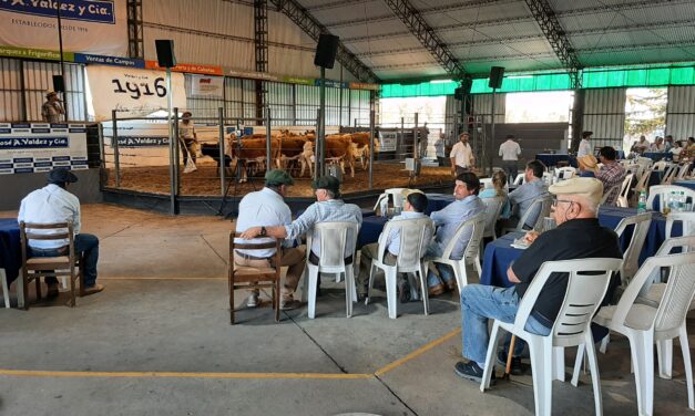 La Reserva y feria mensual en Don Tito