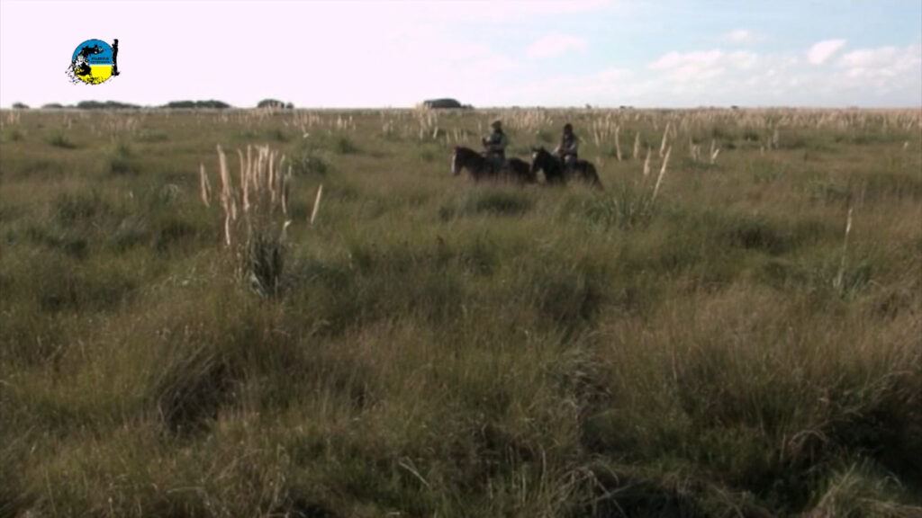 11 de noviembre se celebra el “Día Nacional del Campo Natural Uruguayo”