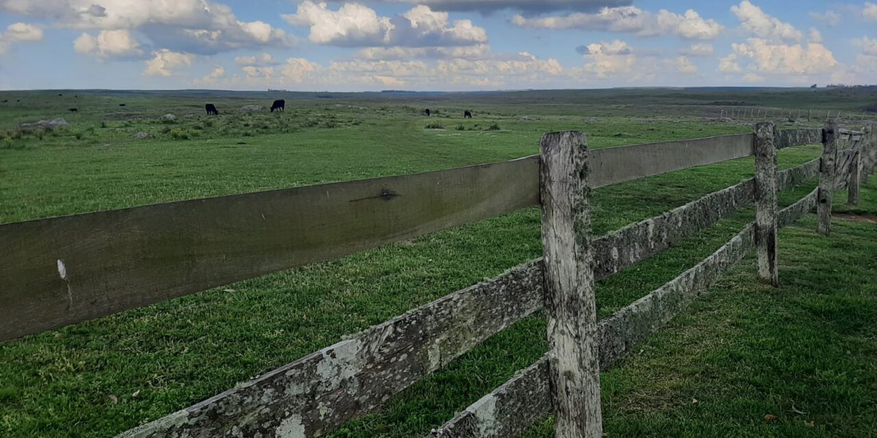 Primer Semestre Compraventas de tierras año 2025