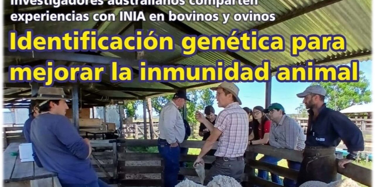Palenque Rural: identificación genética