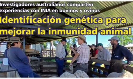 Palenque Rural: identificación genética
