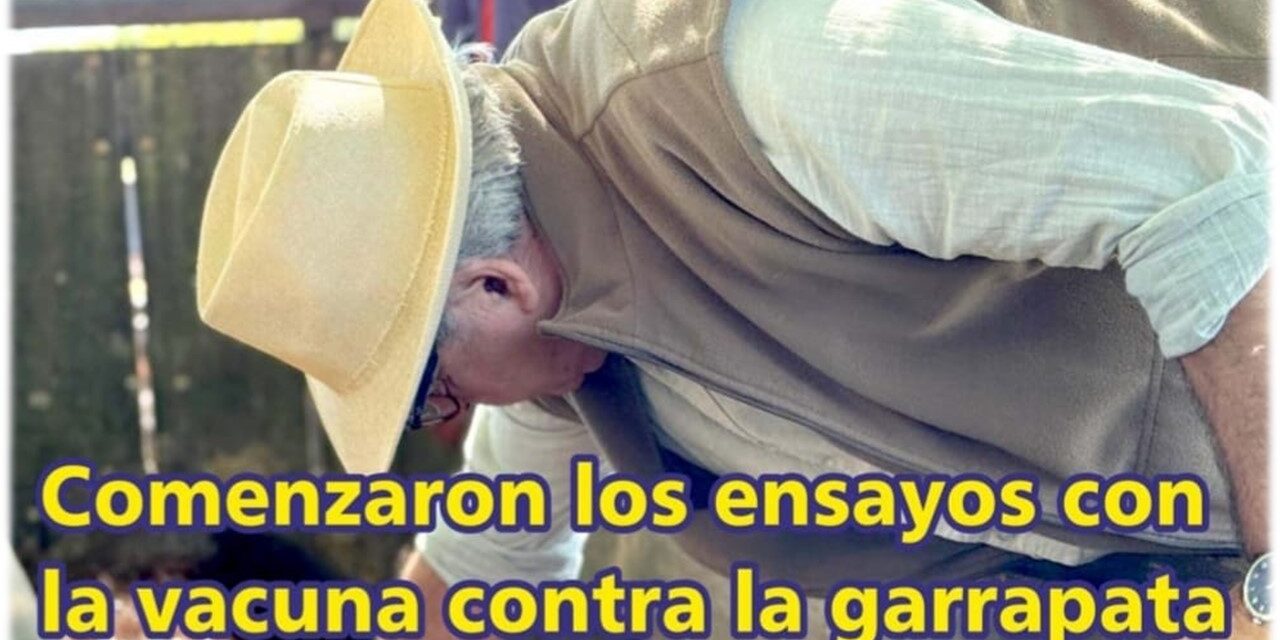 Palenque Rural: comenzaron ensayos con la vacuna contra la garrapata