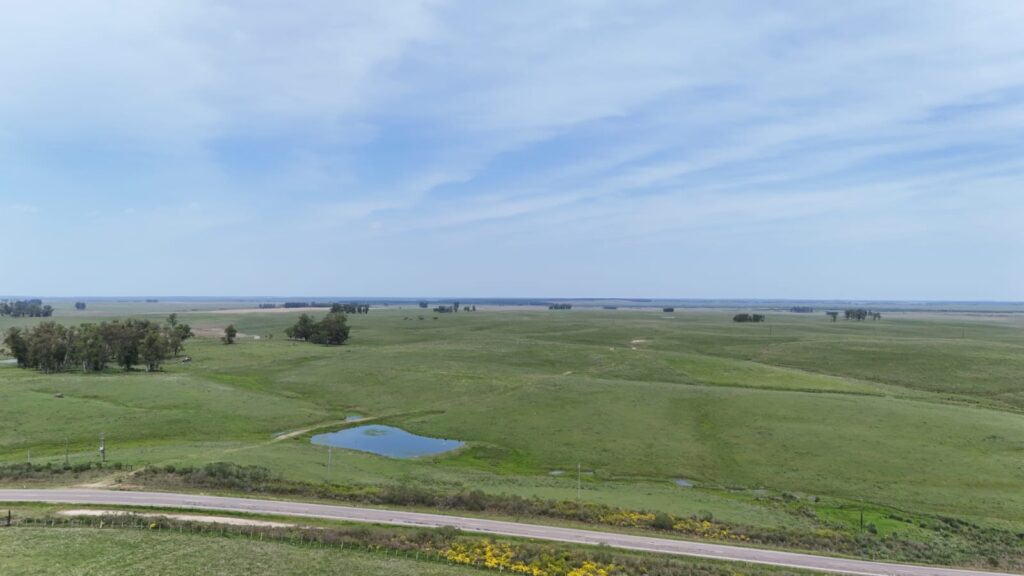 imagen del campo arrendado, En un hecho histórico Valdez y Cía realizó el primer remate de arrendamiento en muchas décadas.