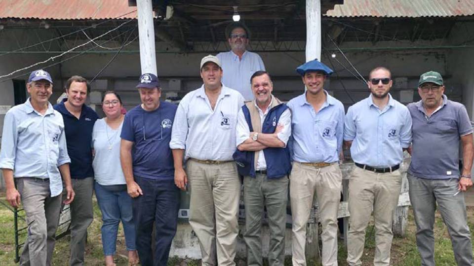 Zapará: Ventas totales con mercado rápido en ovinos