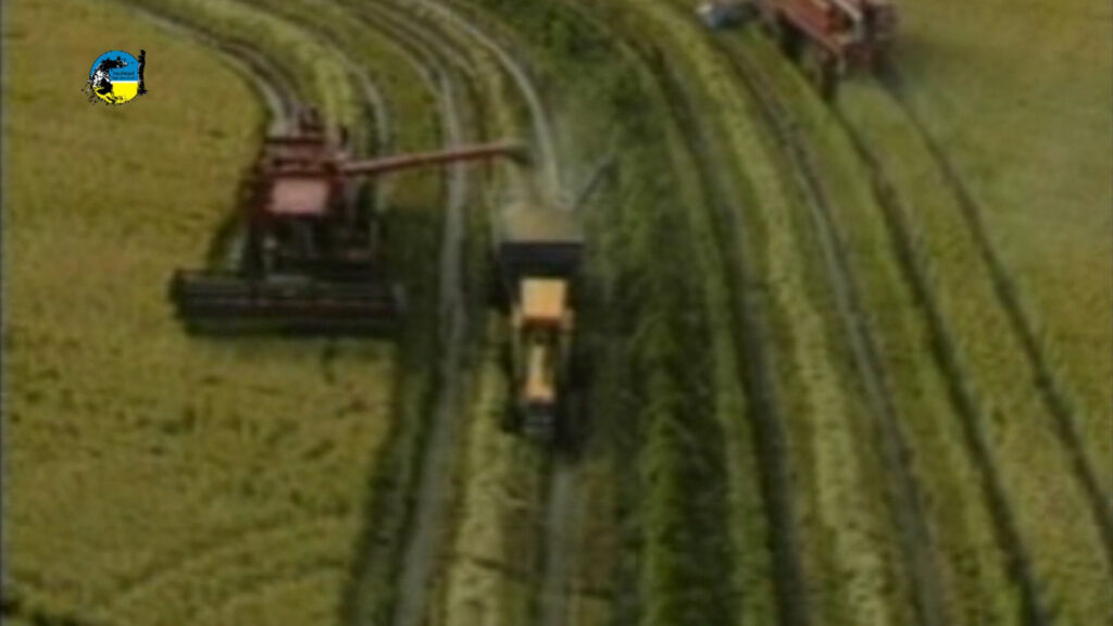 imagen de cosecha, finalizó la cosecha de arroz en 165.000 hectáreas con un rinde promedio de 9.000 kilos por hectárea