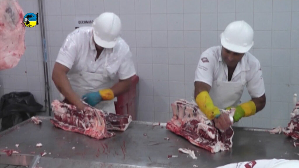 imagen de faena semanal bovina fue de 41.295 cabezas