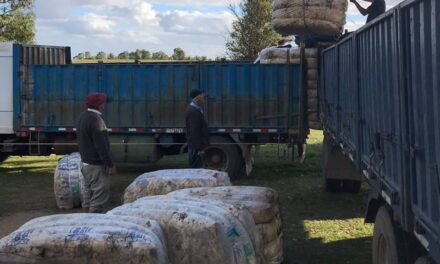 Esta semana se vendieron 190.700 kilos de lana