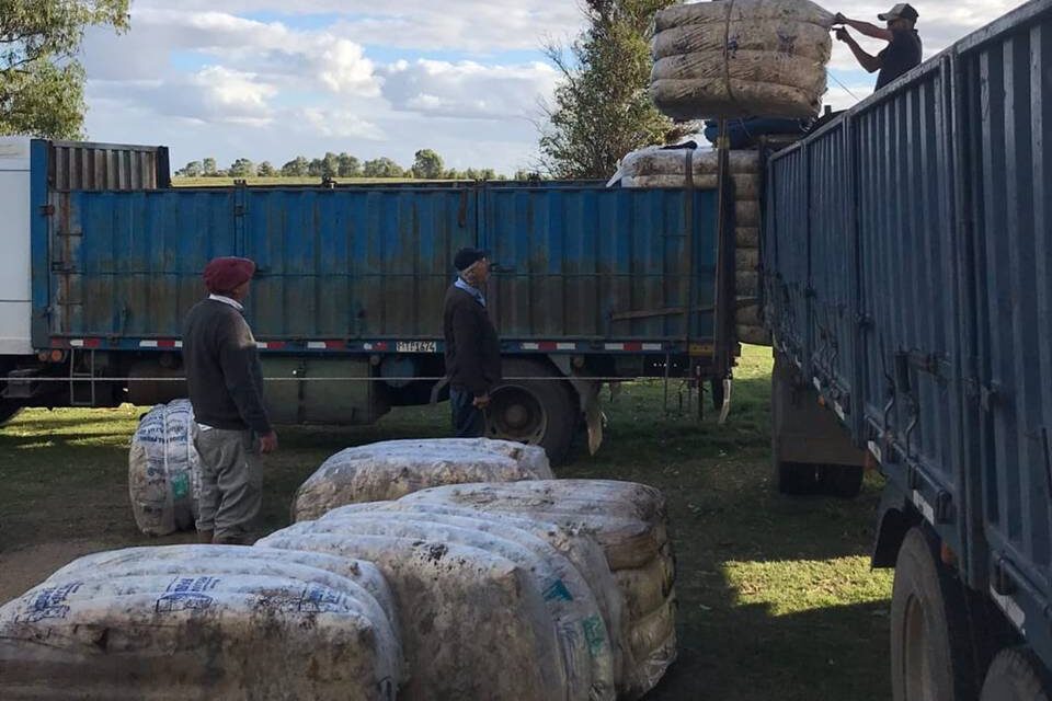 Esta semana se vendieron 190.700 kilos de lana