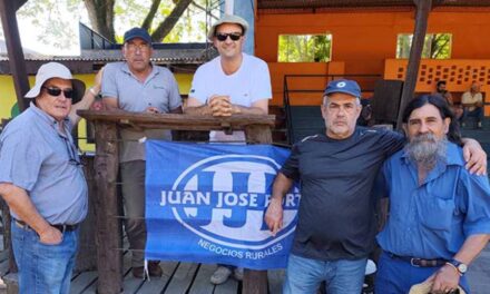 Porto en la Rural de Tacuarembó: Qué precios en lanares y vacunos