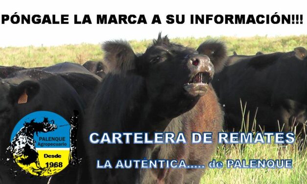 Cartelera de Remates 2026