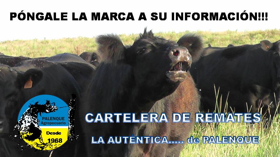 Cartelera de Remates 2026