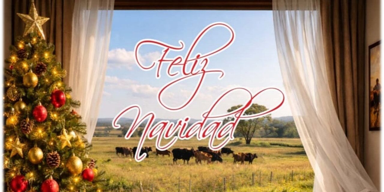 Palenque Rural: Feliz Navidad 2025