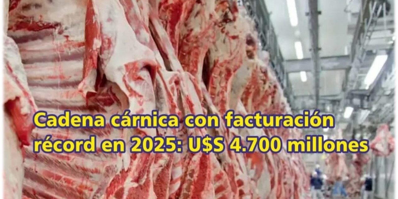 Palenque Rural: cadena cárnica con facturación récord