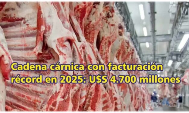 Palenque Rural: cadena cárnica con facturación récord