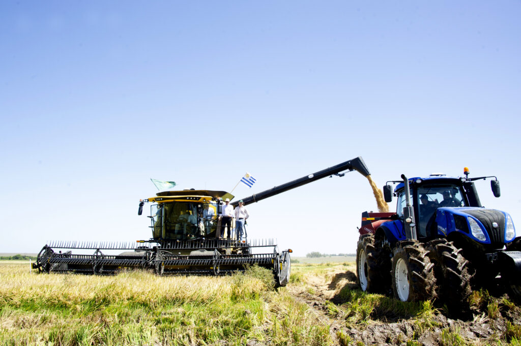 imagen de cosecha, El sector agrícola está en plena actividad con la cosecha de soja