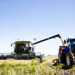 Mercado agrícola local sigue el vaivén del mercado internacional