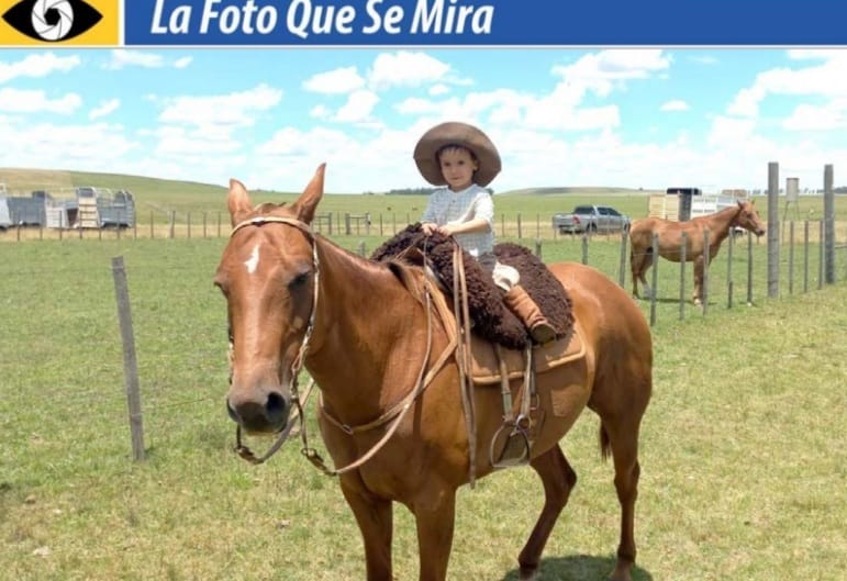 IMAGEN DE José Conrado Albano López DE 2 años y 5 meses, bien montado en su tostado.