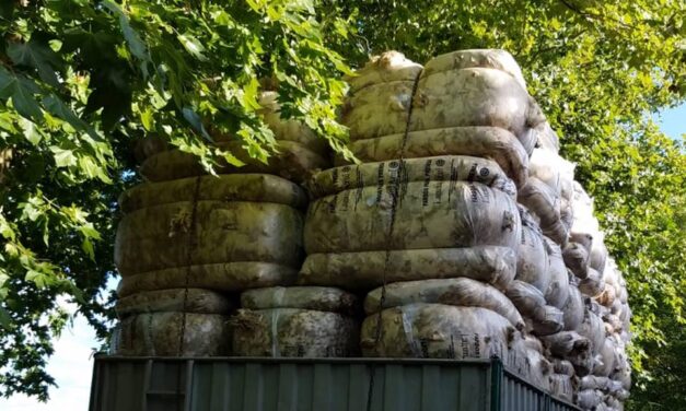 Mercado australiano de lanas volvió a subir esta semana