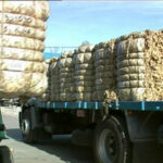 Semana con movimiento importante en venta de lana