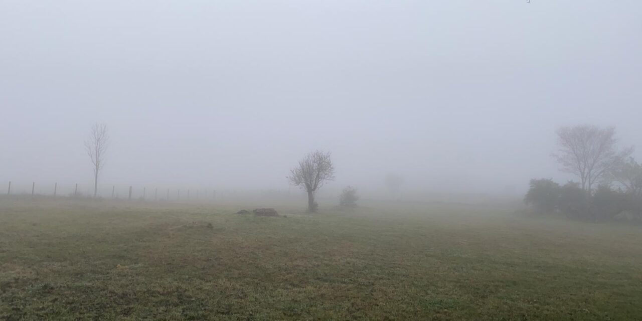 Lluvias mes de enero 2026