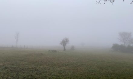 Lluvias mes de enero 2026