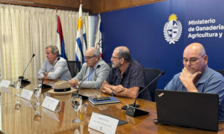 Despacho de Tropa Digital