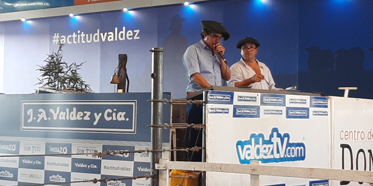 El Piramidal realiza su 53º remate el 25 de febrero en Don Tito