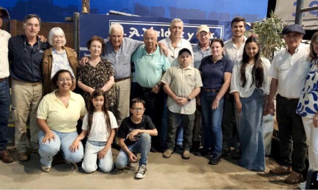 Petra y El Arazá un gran remate con un promedio de U$S 1.104